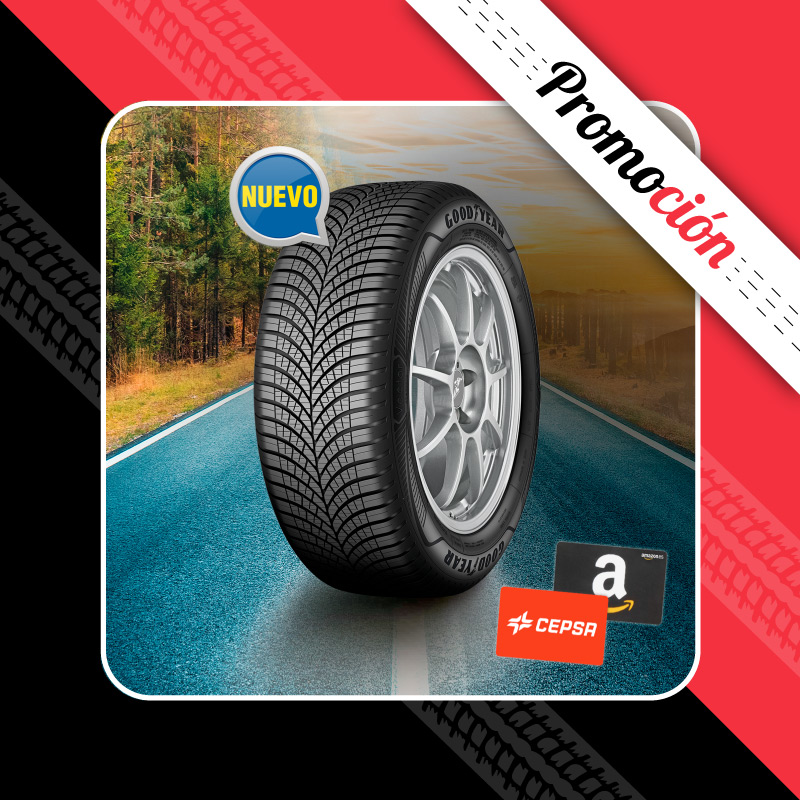 Este invierno cheques regalo con los neumáticos de Goodyear - Expo Tyre